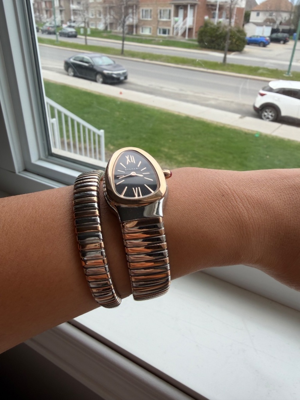 Serpenti Watch - Picture 2 of 7